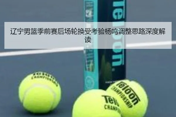 辽宁男篮季前赛后场轮换受考验杨鸣调整思路深度解读